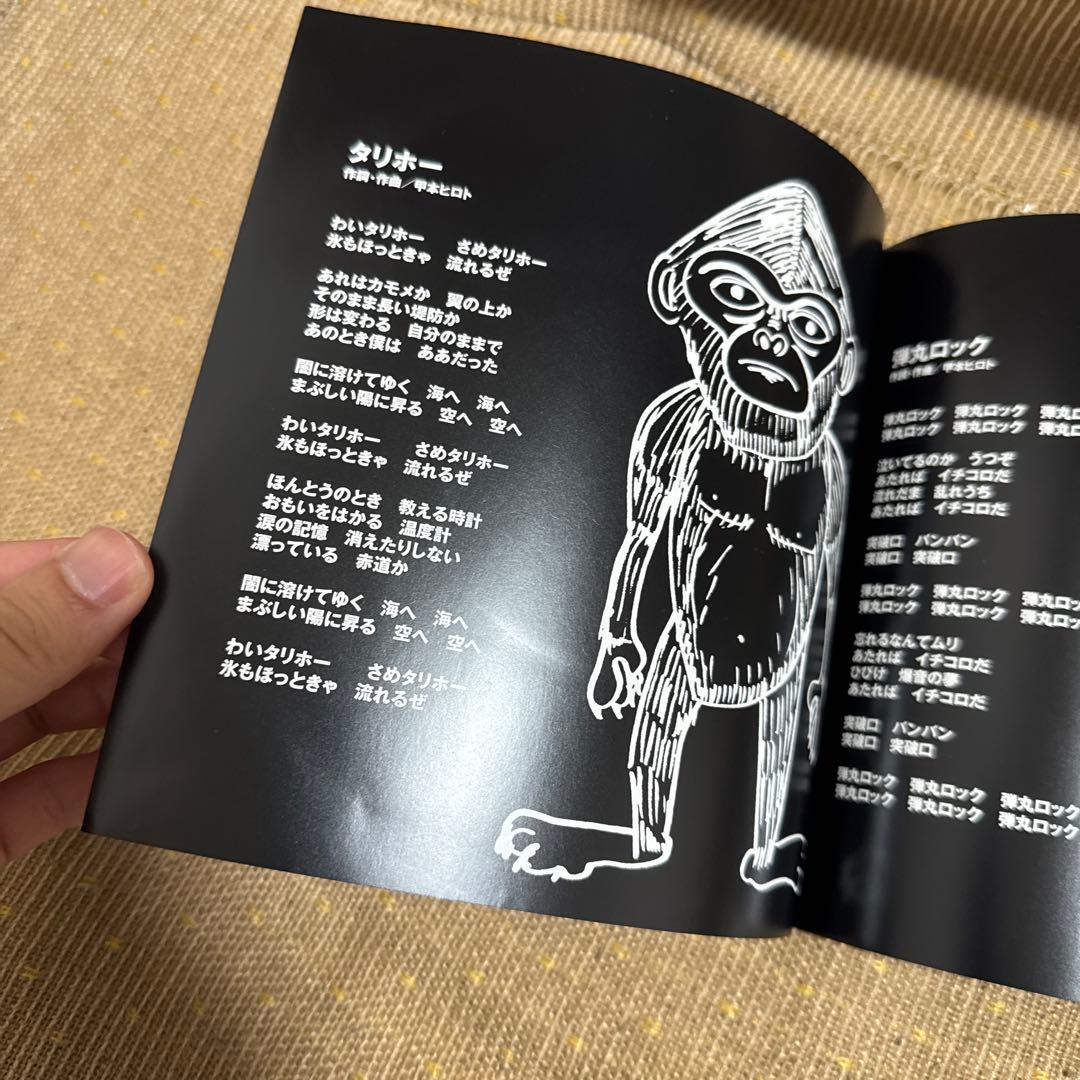 す*け様 【EP】【帯有】タリホー　ザ・クロマニヨンズ　レコード