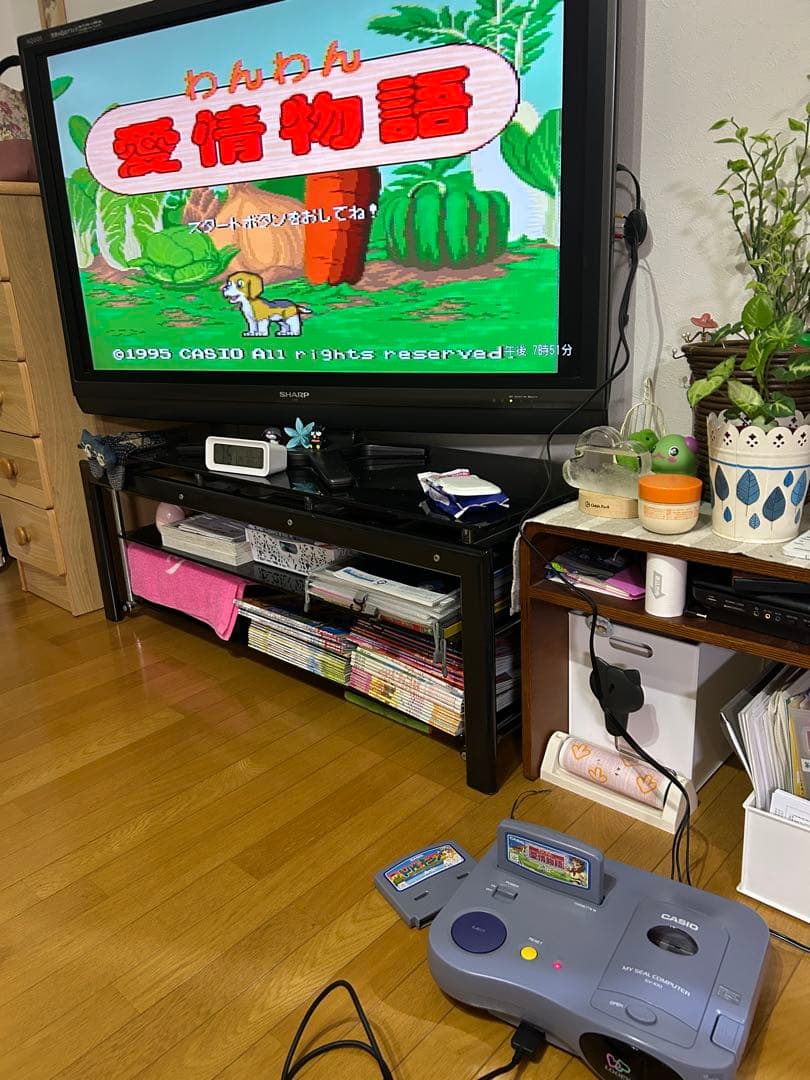 CASIO カシオ LOOPY ルーピー SV-100 ソフト2本 動作確認済