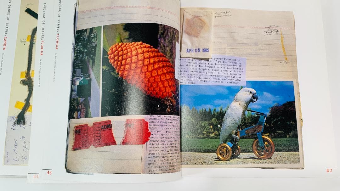 「Evidence: The Art of Candy Jernigan」