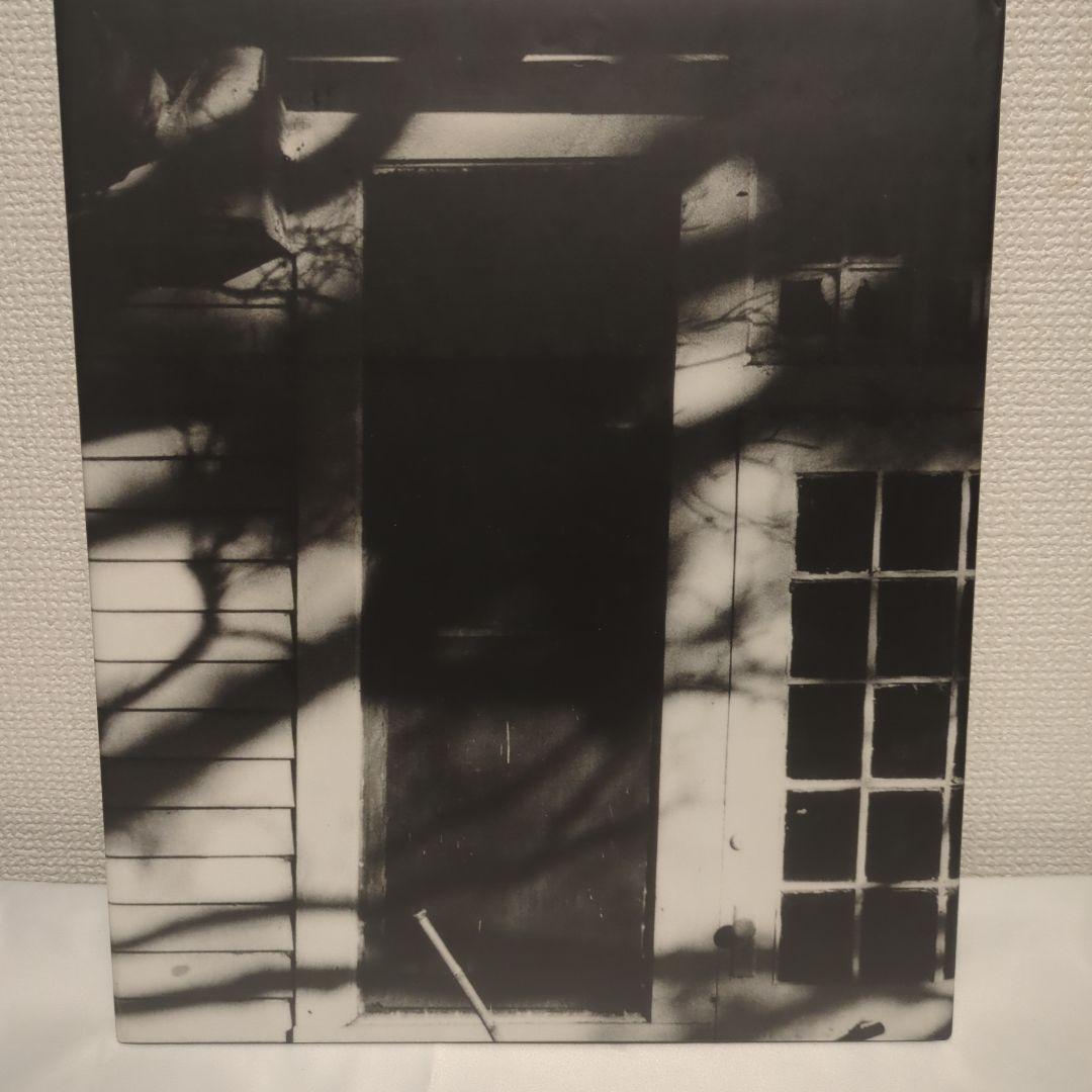 アート・デザイン・音楽 Debbie Fleming Caffery: The Shadows