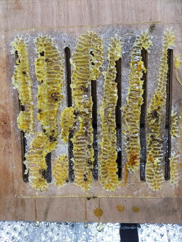 日本蜜蜂 重箱式巣箱4段 スライド底板 付巣門台座