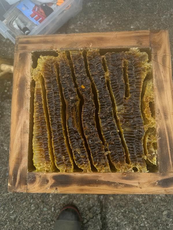 日本蜜蜂 重箱式巣箱4段 スライド底板 付巣門台座