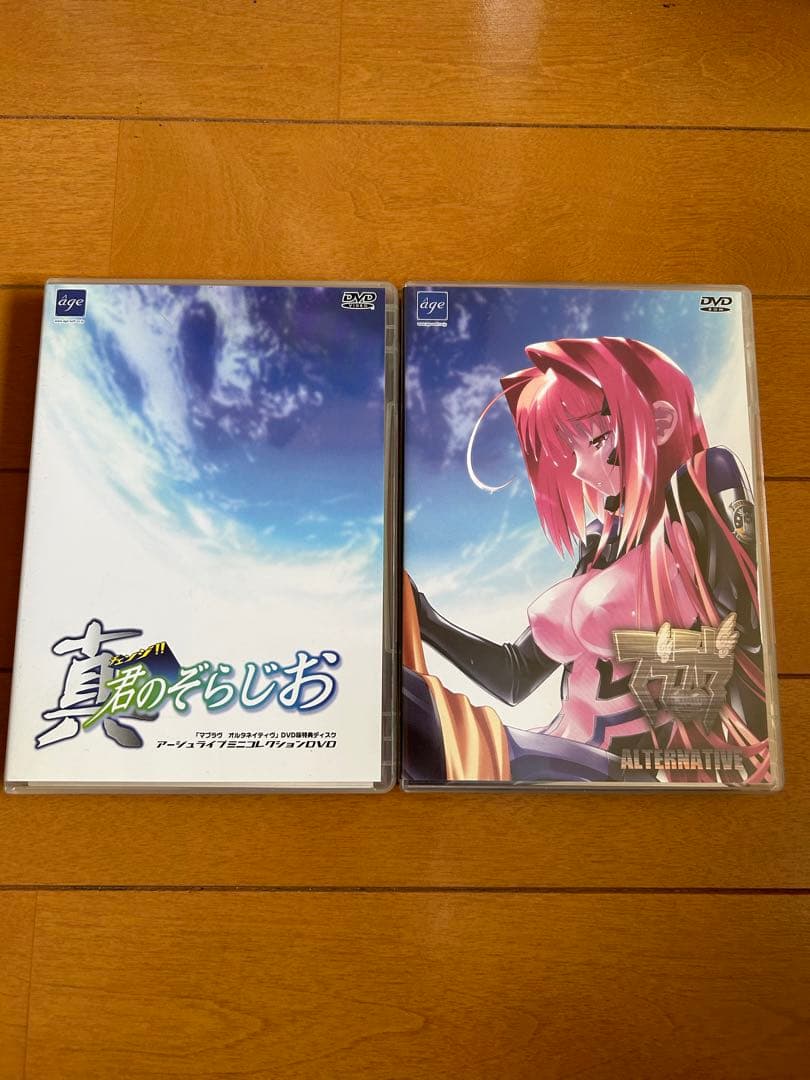 マブラヴオルタネイティヴ DVD-ROM版 特典DVD付