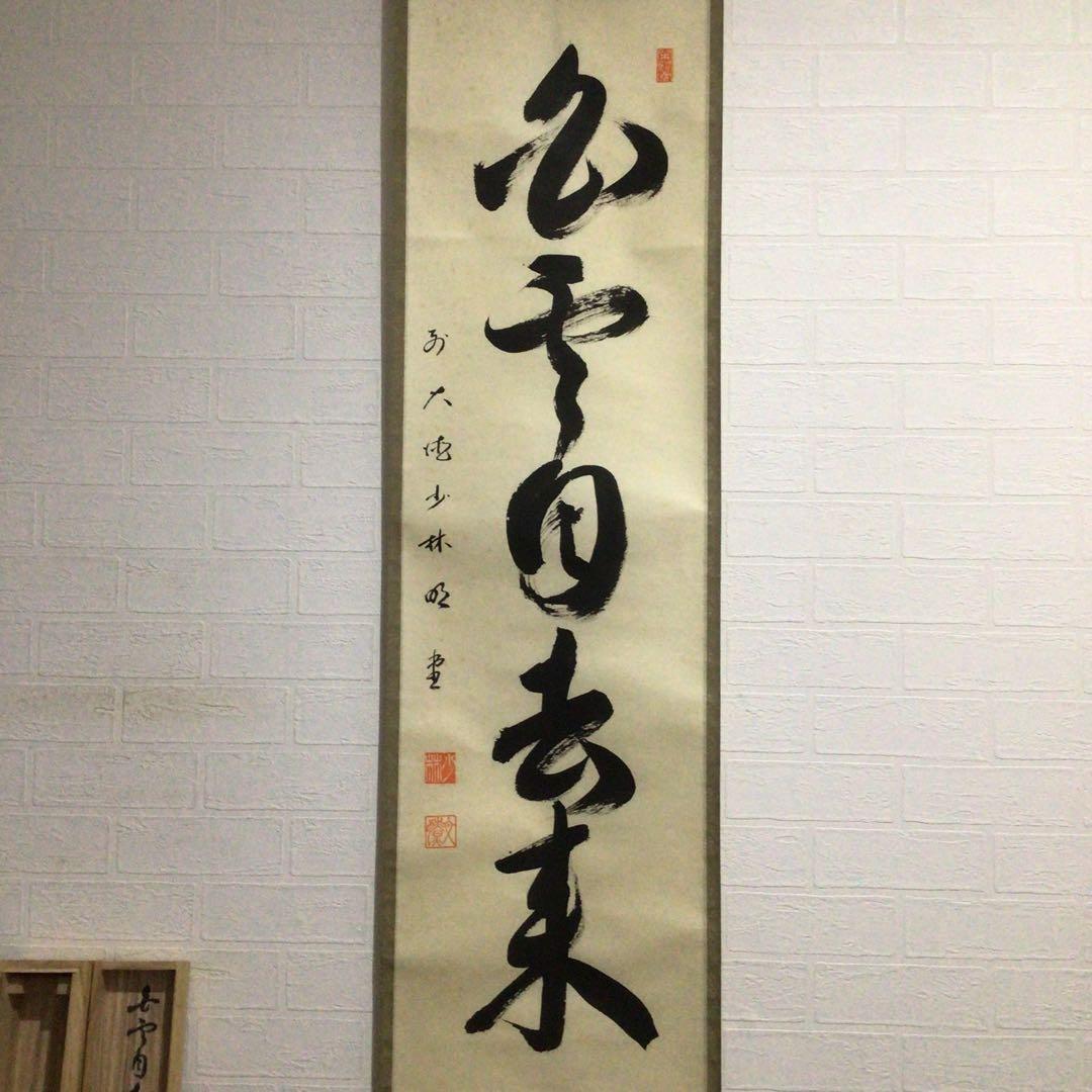 Ｆ６８６　掛軸　大徳寺　少林明堂　『白雲自去来』　共箱　『真作』　肉筆　一行書