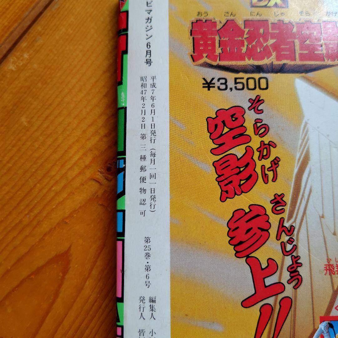 平成７年6月号テレビマガジン