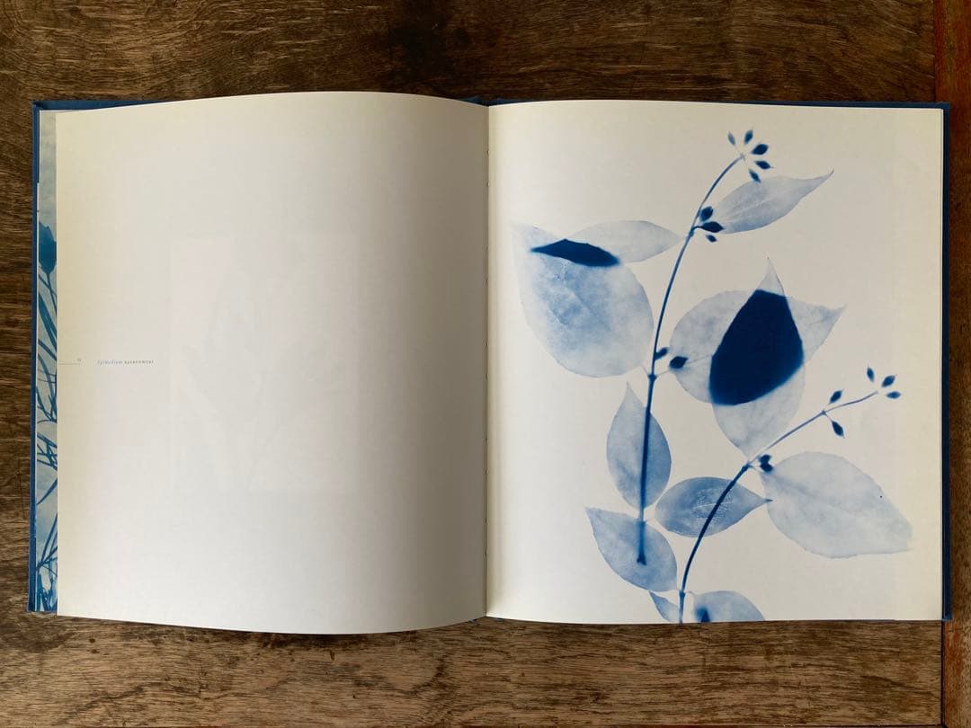 洋書 Blue Prints Zeva Oelbaum
