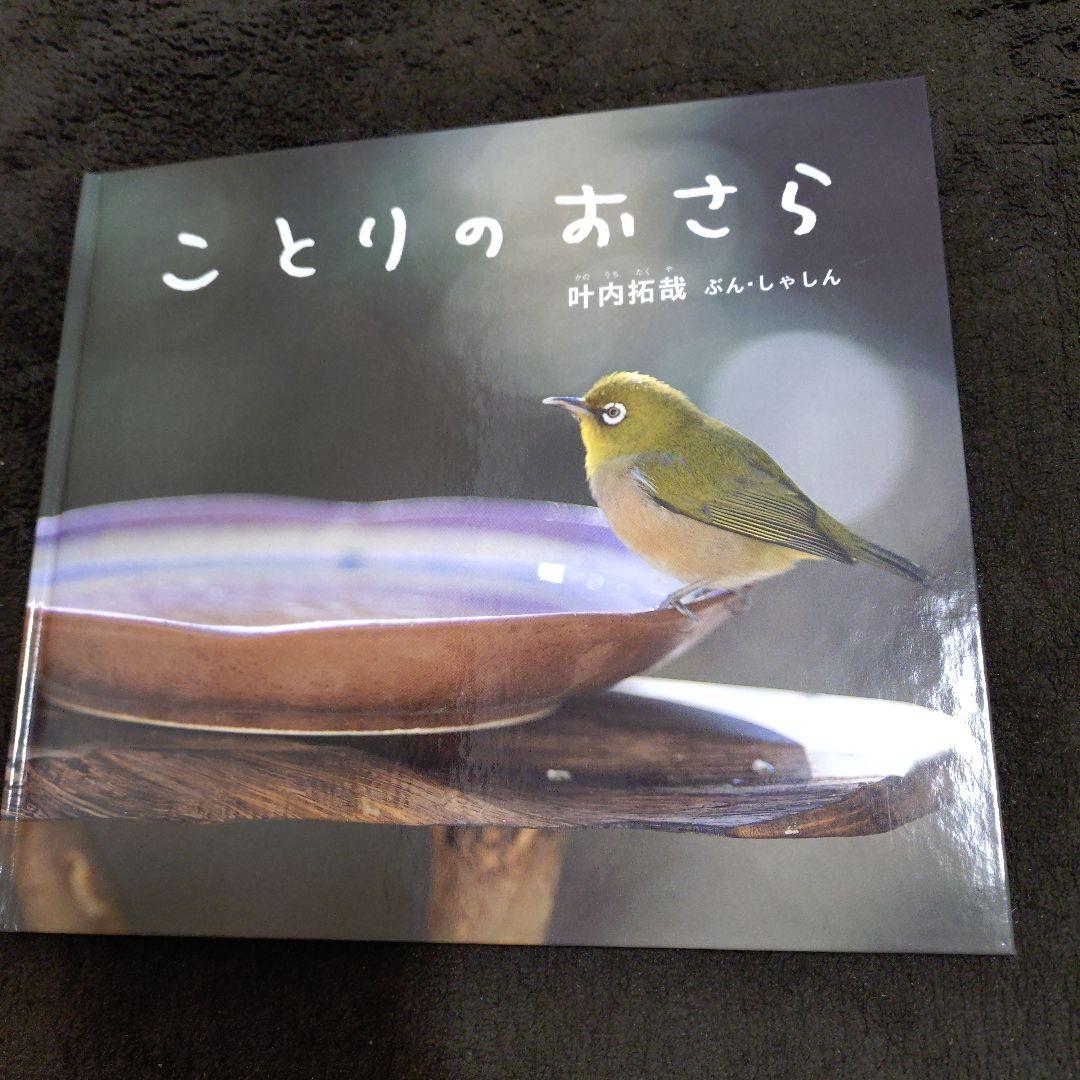 ちいさなかがくのとも 10 III