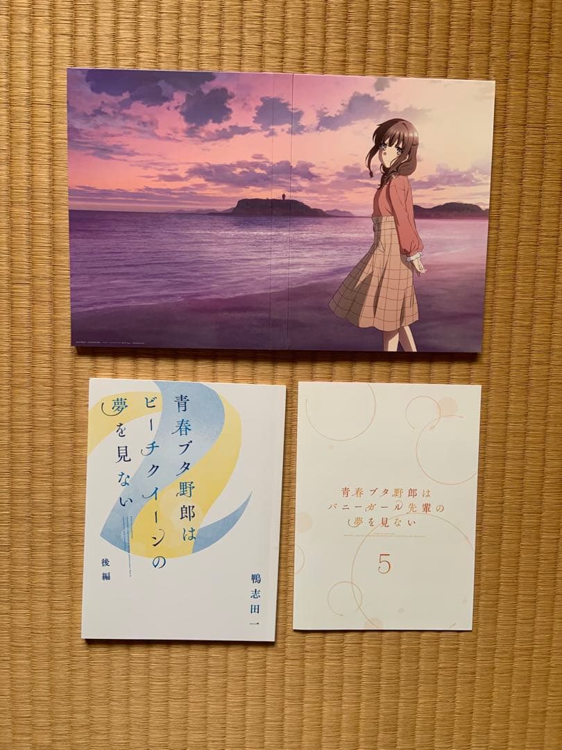 青春ブタ野郎は　シリーズ全巻、ゆめみる少女　DVD版