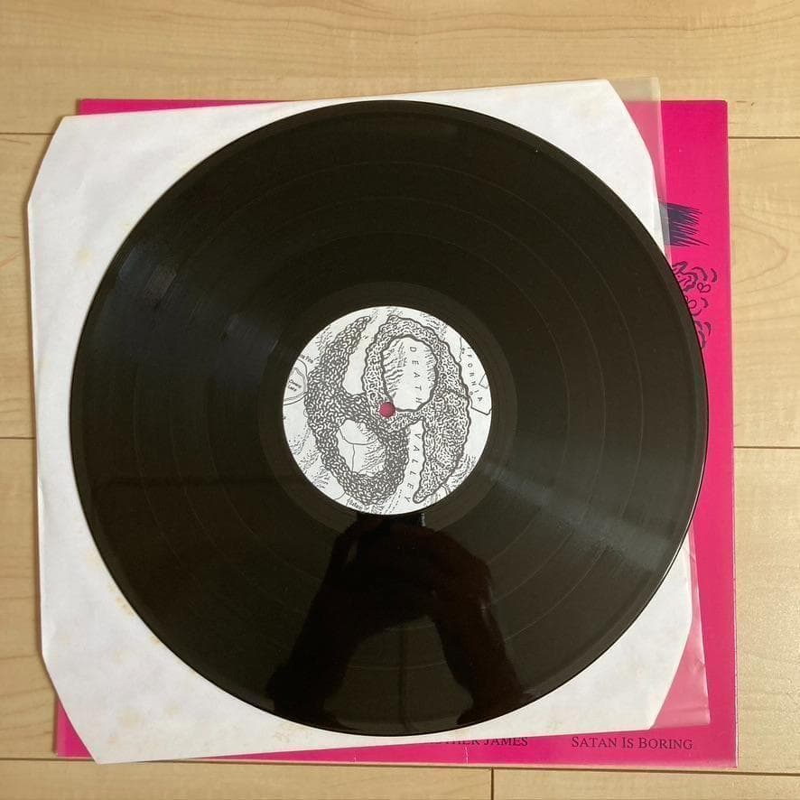 洋楽 SONIC YOUTH LYDIA LUNCH Death Valley 69