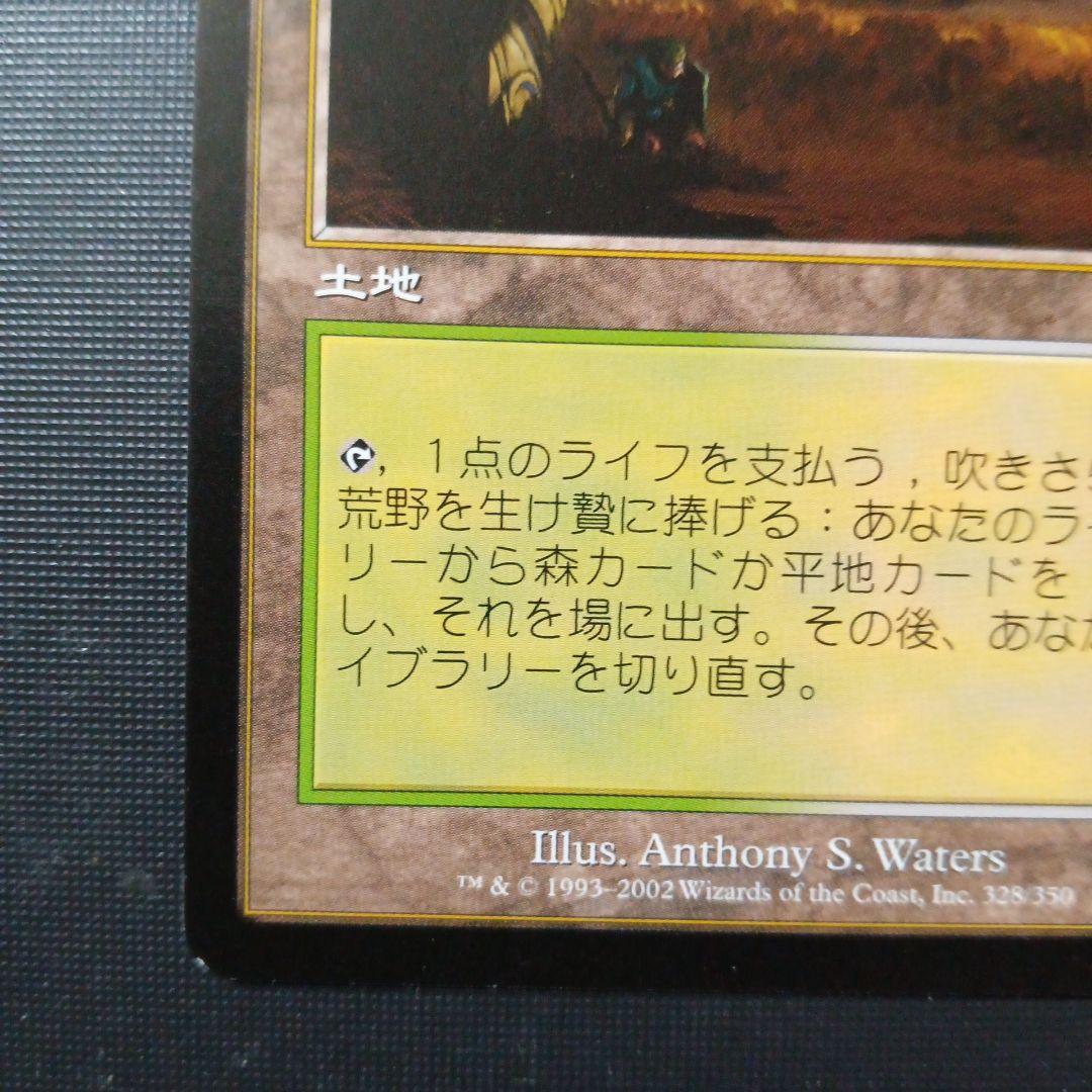 吹きさらしの荒野　Windswept Heath　ONS