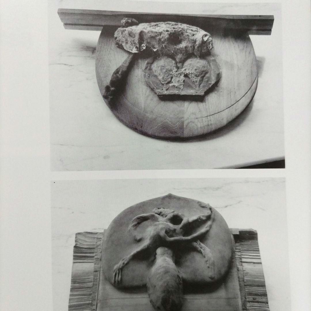 Joseph Beuys documenta - Arbeit　ヨーゼフ・ボイス