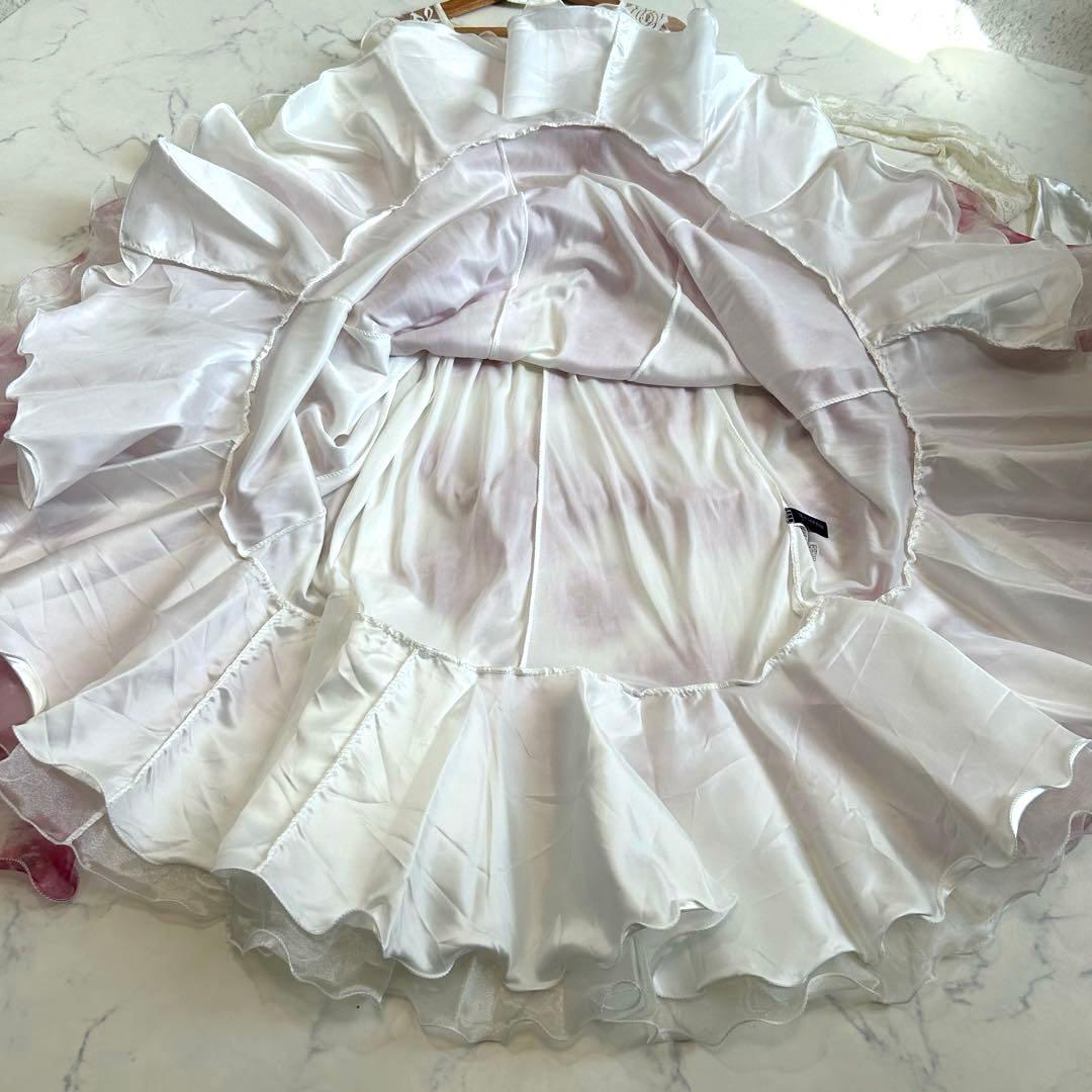 Leirena レイリーナ 社交ダンスドレス チョーカー オーガンジー 薔薇柄