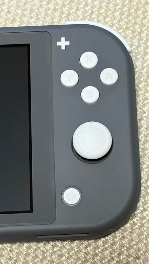 Nintendo Switch Lite グレー 本体　カバー　充電器付き