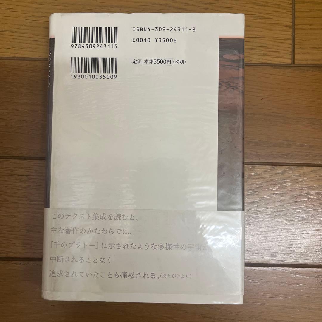 狂人の二つの体制 1983-1995