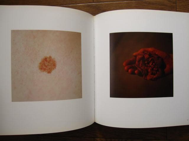 Still Here　Lydia Goldblatt