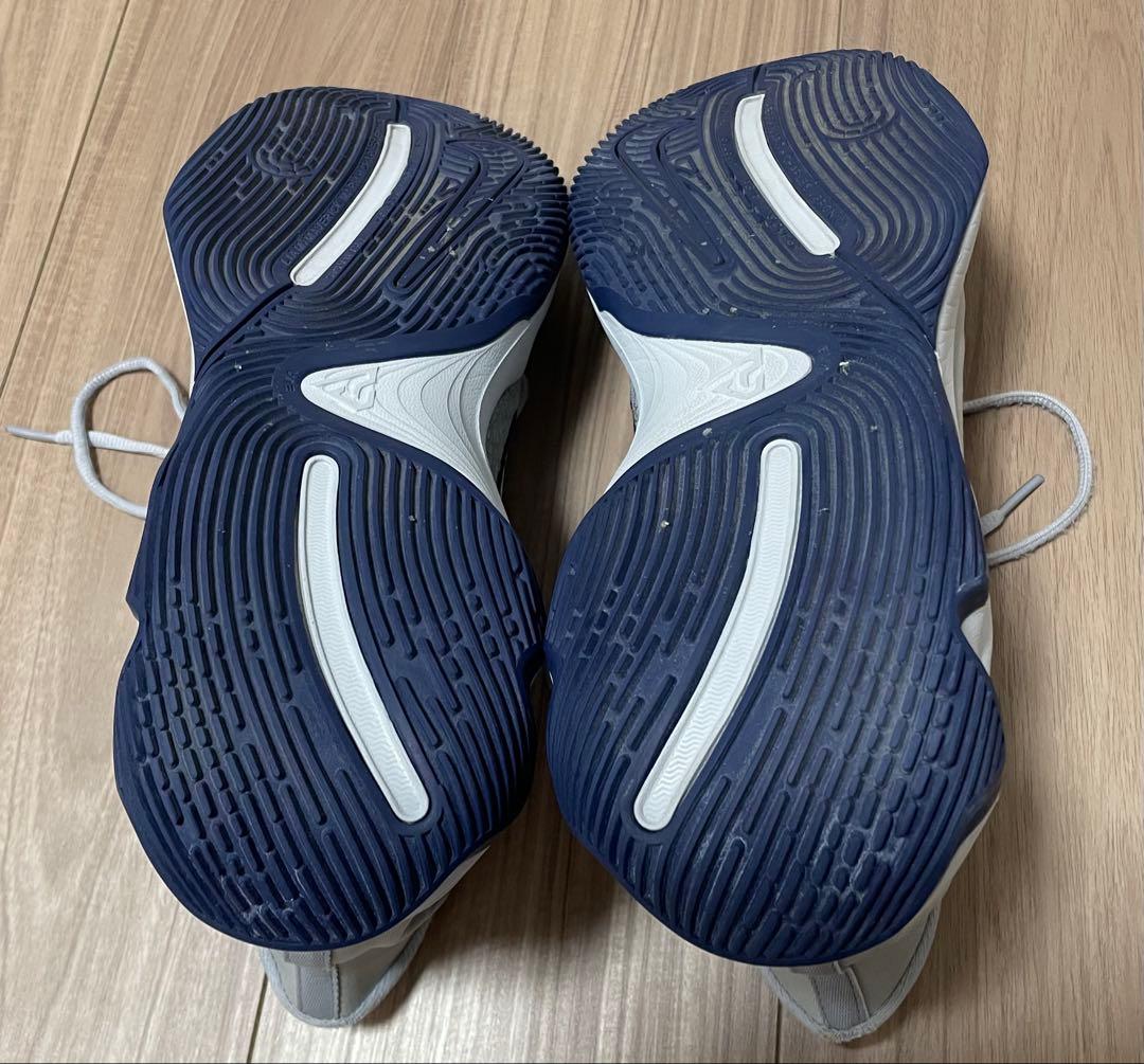 Nike ヤニス・イモータリティ4 グレー　30cm