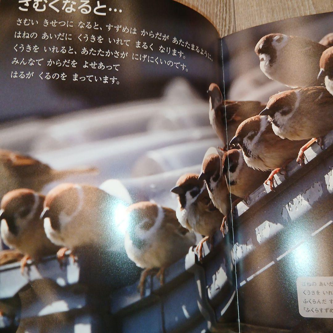 くもん推薦図書など　絵本50冊セット