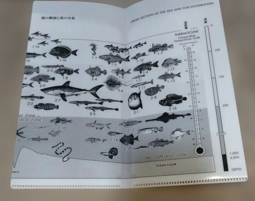 サカナクション 魚図鑑 (初回生産限定盤2CD+DVD)