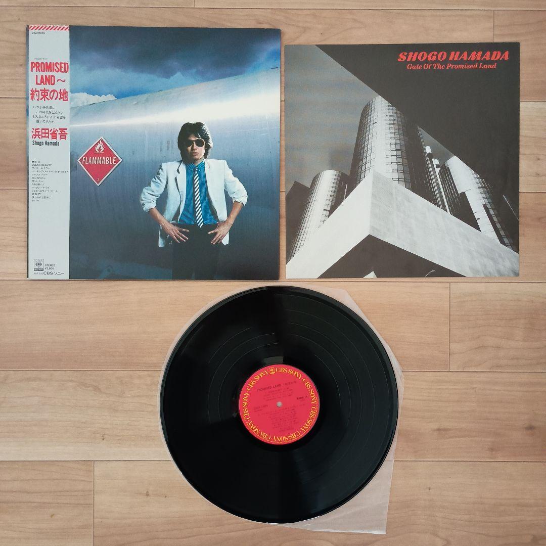 浜田省吾 レコード ６種セット