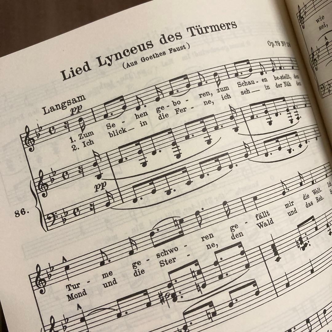 SCHUMANN/ LIEDER Ⅱ 高声用 EDTION PETER'S