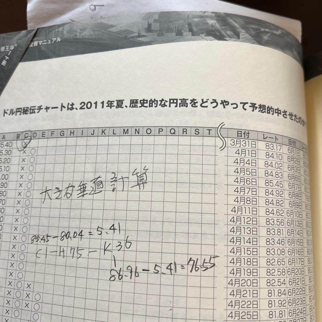 為替王様の勝ち組投資マニュアル