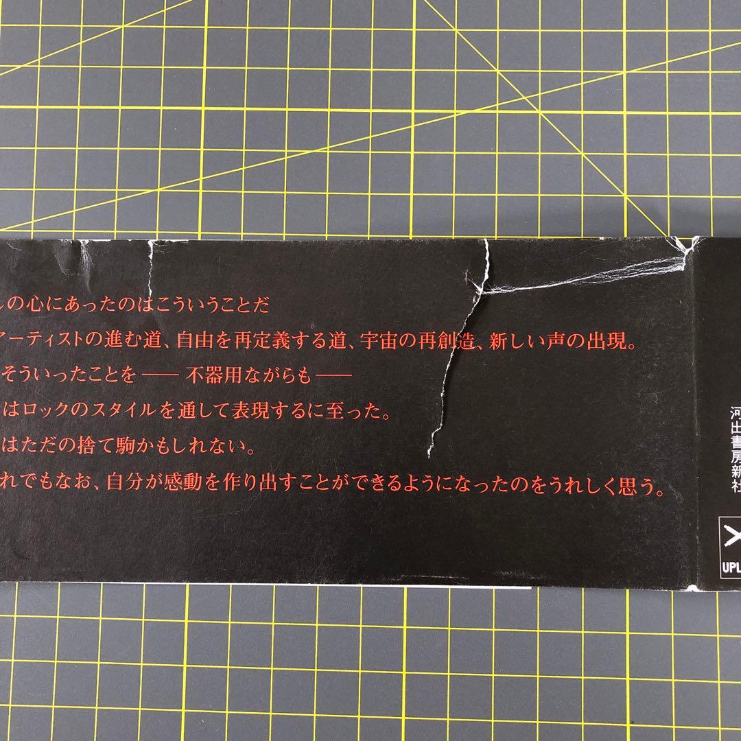 【美品】PattiSmithパティ・スミス完全版 : 詩と回想そして未来へのメモ
