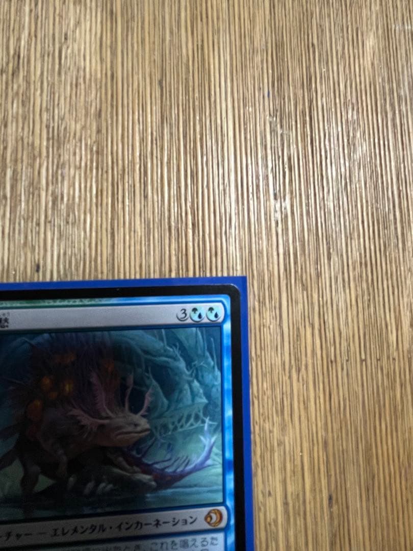M*N様 MTG ローウィンの黄昏　幽愁