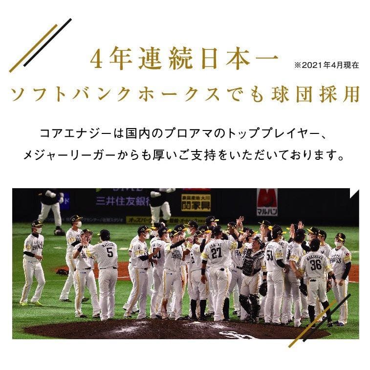 野球専用ベルト　コアエナジー 3　サイズ調整可能　ネイビー /ゴールド　ベルト
