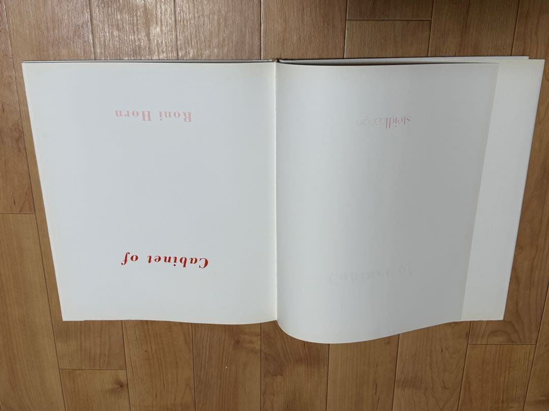 アート・デザイン・音楽 Cabinet of Roni Horn