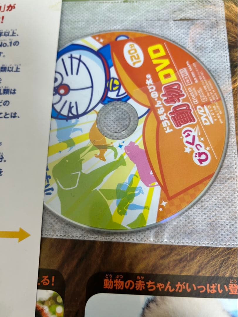 小学館図鑑NEO 10冊セット