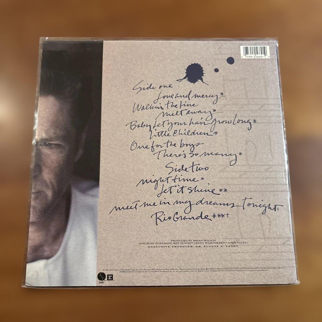 Brian Wilson アナログレコード 12インチ