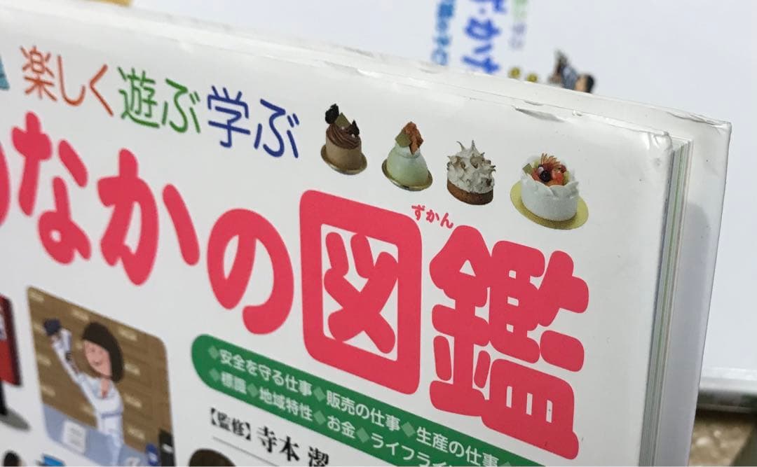図鑑いろいろ17冊　　まとめ売り