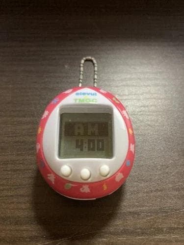【動作確認済】バンダイ　ポケモン　たまごっち　イーブイ　カラフルフレンズ　レッド