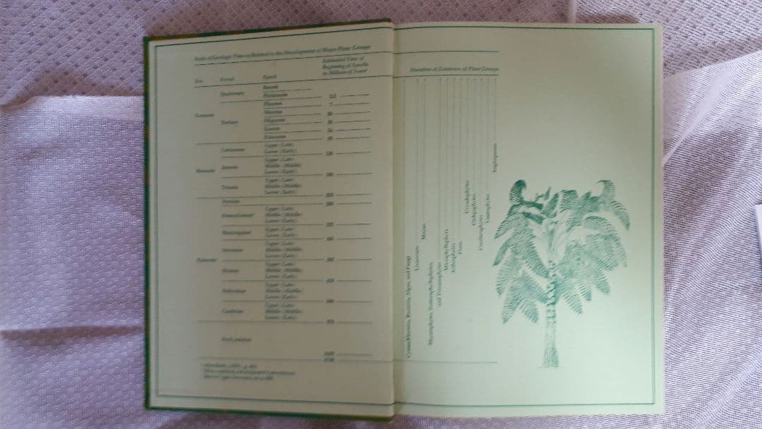 洋書 MORPHOLOGY OF PLANTS