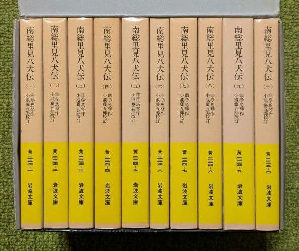 南総里見八犬伝 曲亭馬琴 岩波文庫 全10巻セット 箱入