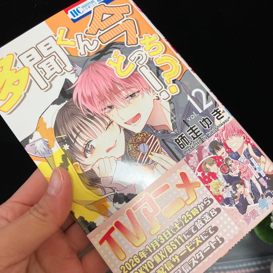 ☆美品☆ 多聞くん今どっち⁉︎ 全巻 (1-13巻)セット 師走ゆき