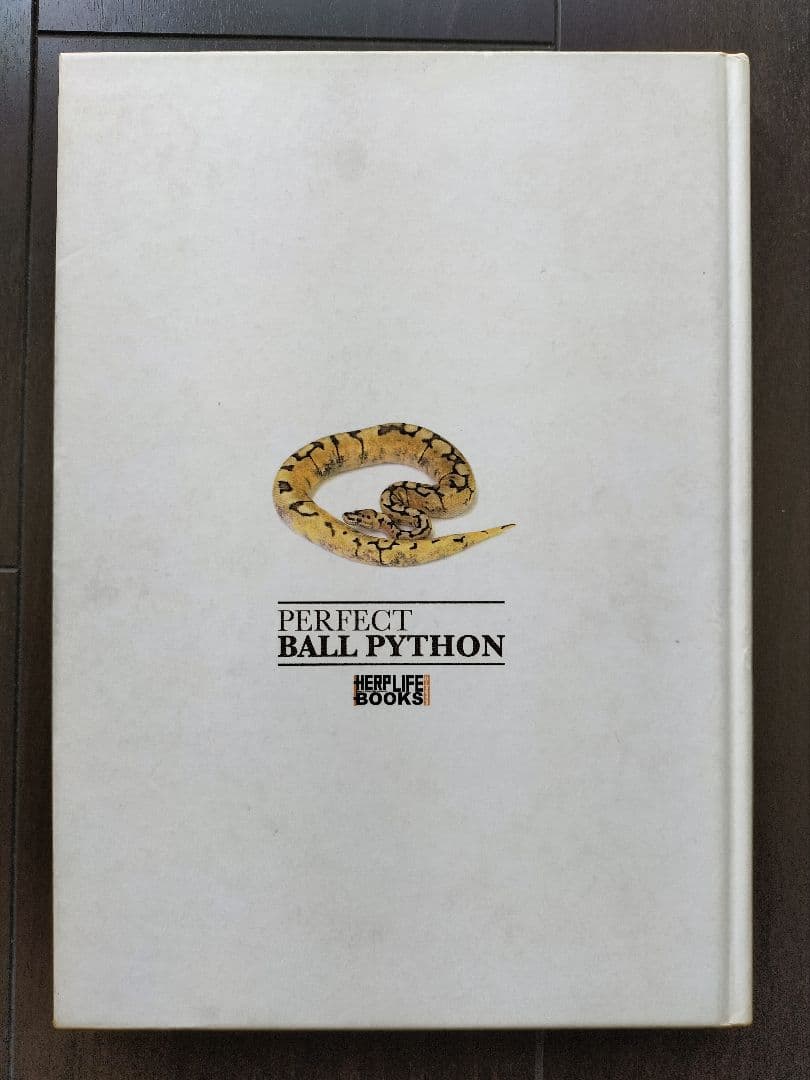 パーフェクトボールパイソンPERFECTBALLPYTHONモルフ飼育繁殖ビバガ