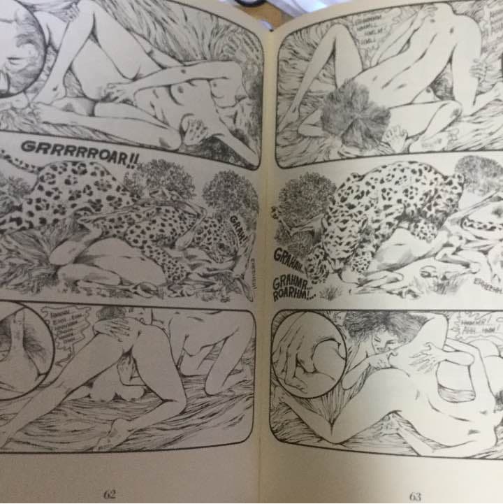 エマヌエル夫人