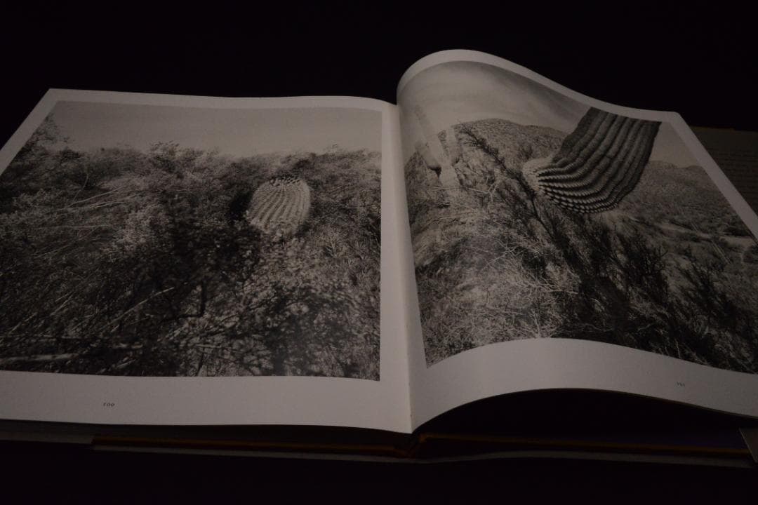 【The Desert Seen】Lee Friedlander　未読、美品