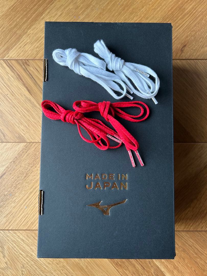 ミズノMIZUNO モレリア2JAPAN 22cm