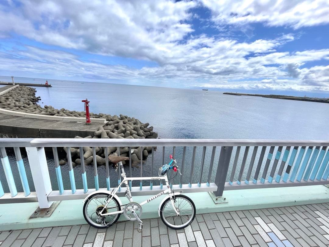 ラレー ＊ミニベロ☆ 富山県射水市まで引き取りに来てください。発送不可