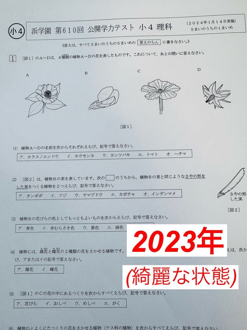 語学・辞書・学習参考書 Ishigaki