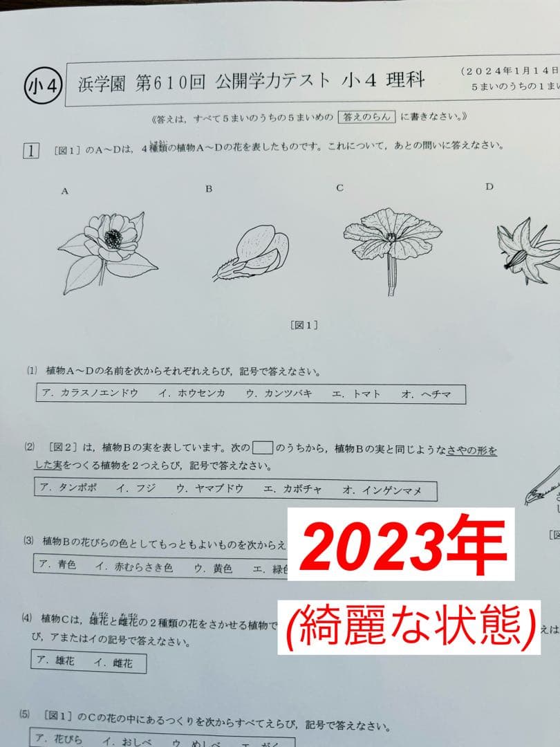 語学・辞書・学習参考書 Ishigaki