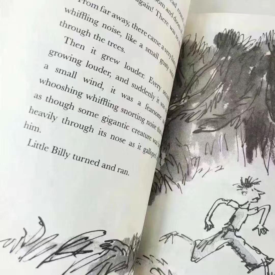 新品未使用 Roald DAHL collection 20冊 洋書 英語絵本