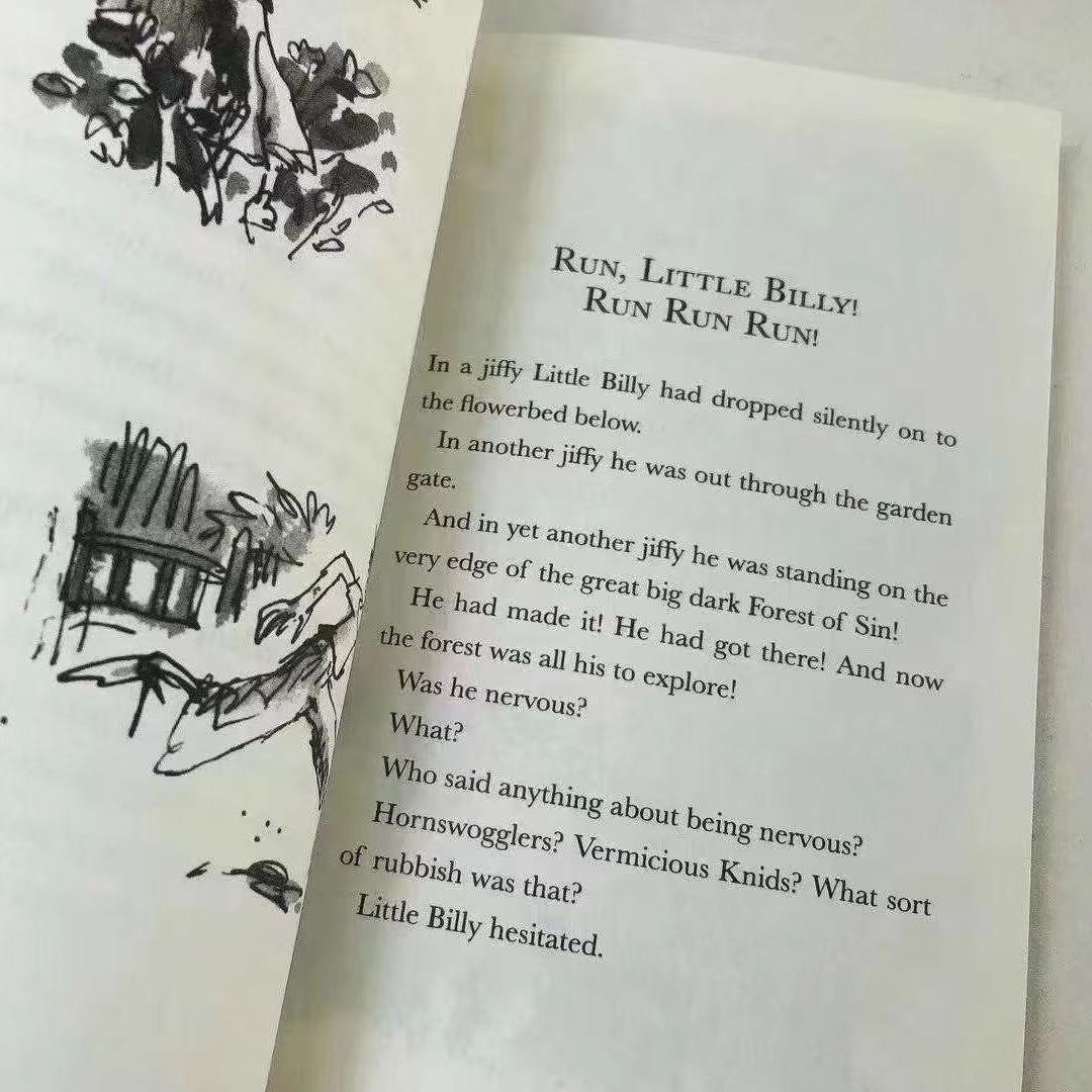 新品未使用 Roald DAHL collection 20冊 洋書 英語絵本