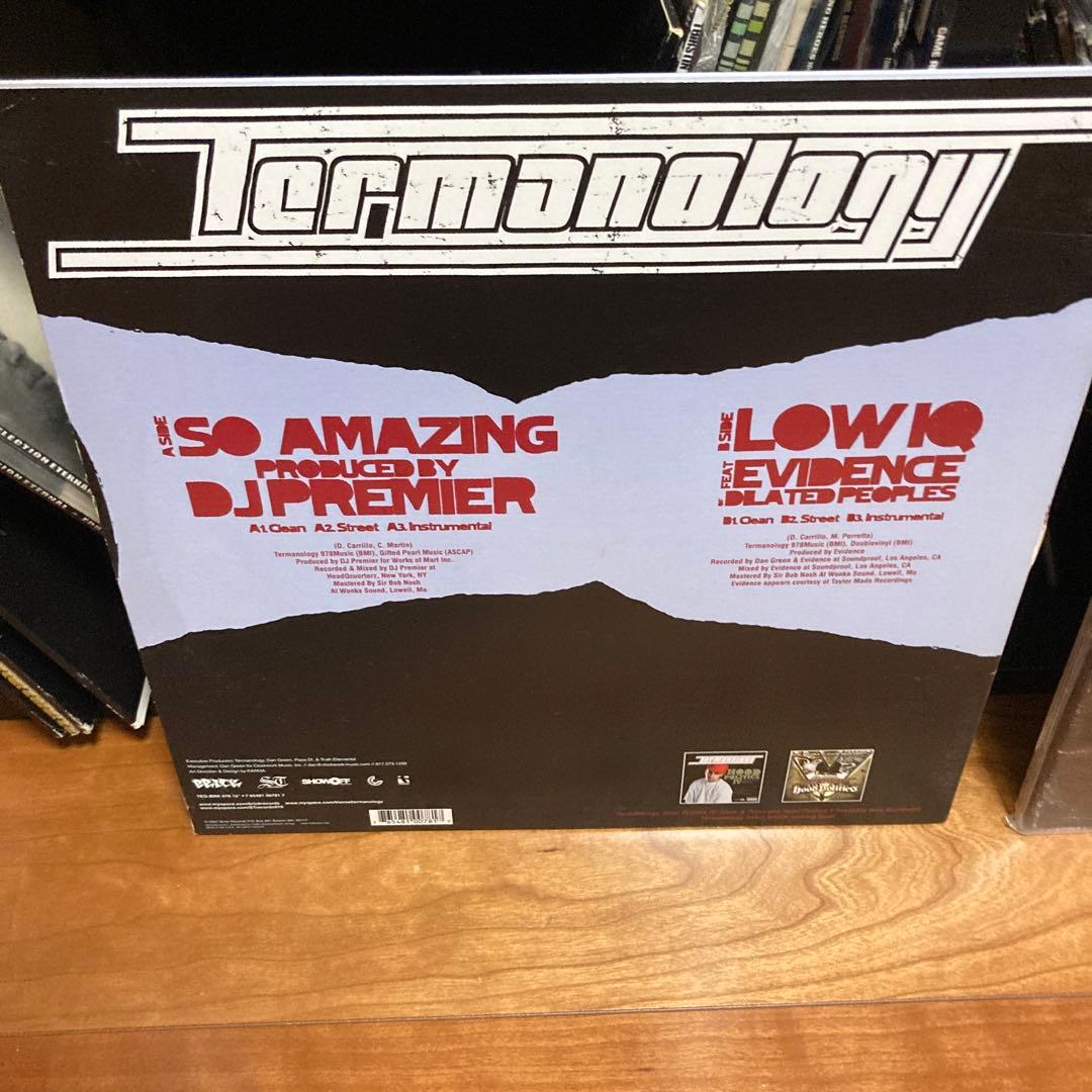 Termanology 12inc 2枚セット