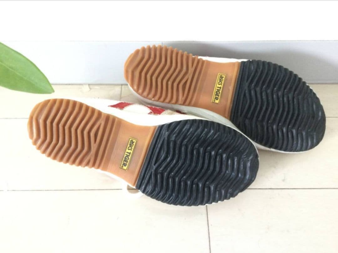 セール】アシックスタイガー バレーボールシューズ ローテロンリード TVR115