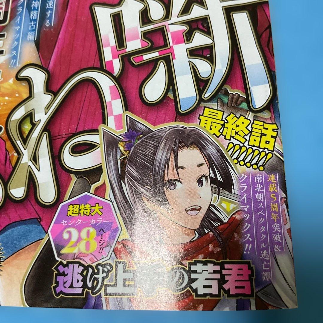 逃げ上手の若君　最新刊含む24巻+ジャンプ最終話12号