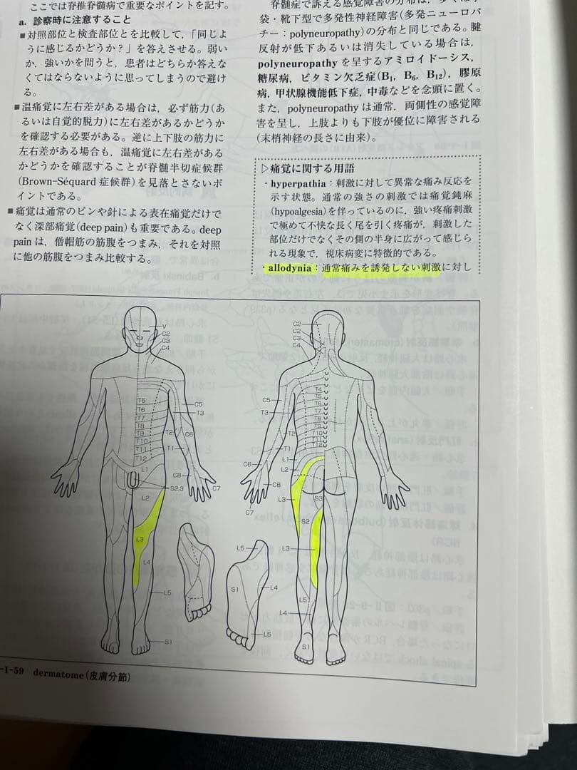 脊椎脊髄病学 = PRINCIPLES OF SPINAL DISORDERS