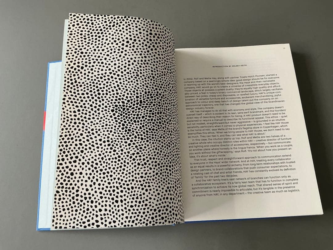 HAY PHAIDON アートブック